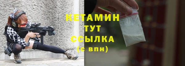 твердый Болотное
