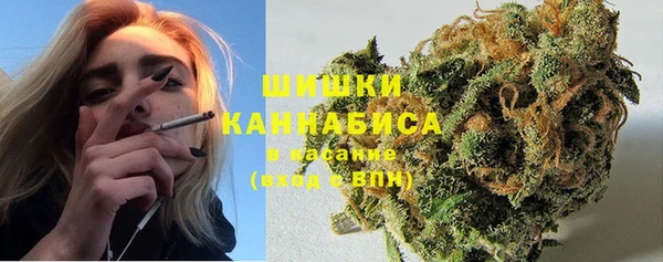 прущие грибы Болхов